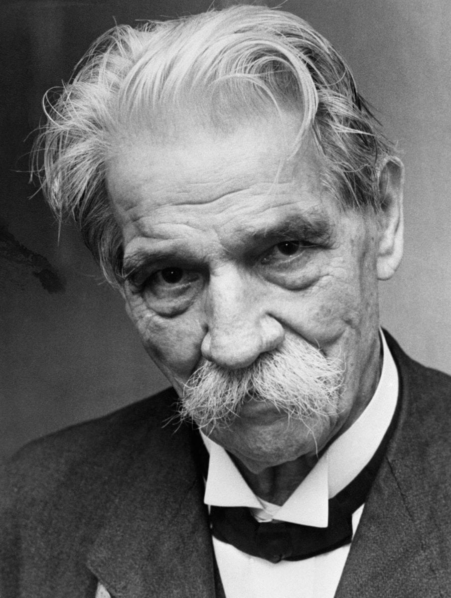 schweitzer quotes